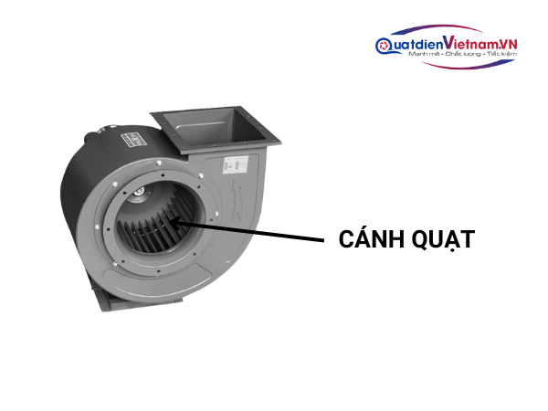 canh-quat-1 Cánh quạt lồng sóc với lá cong tối ưu, tạo luồng gió mạnh và áp suất cao vượt trội