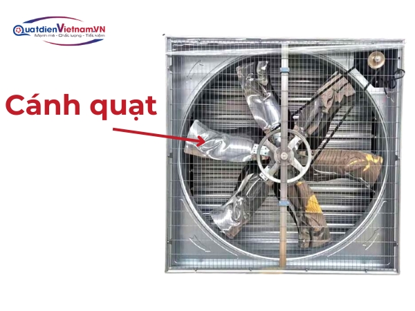 canh-quat-inox-304-cao-cap-thiet-ke-khi-dong-hoc-toi-uu-gio-giam-on Cánh quạt inox 304 cao cấp. Thiết kế khí động học, tối ưu gió, giảm ồn