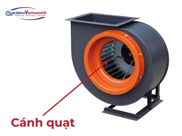 canh-quat-inox-304-chong-an-mon-thiet-ke-con-so-van-hanh-em-ai Cánh quạt: Inox 304 chống ăn mòn, thiết kế con sò, vận hành êm ái