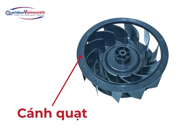 canh-quat-long-soc-canh-cong-so-luong-la-canh-nhieu Cánh quạt: Lồng sóc, cánh cong, số lượng lá cánh nhiều