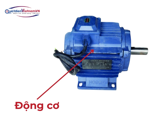dong-co-gan-truc-tiep-em-ai-truyen-dong-toi-uu Động cơ: Gắn trực tiếp, êm ái, truyền động tối ưu