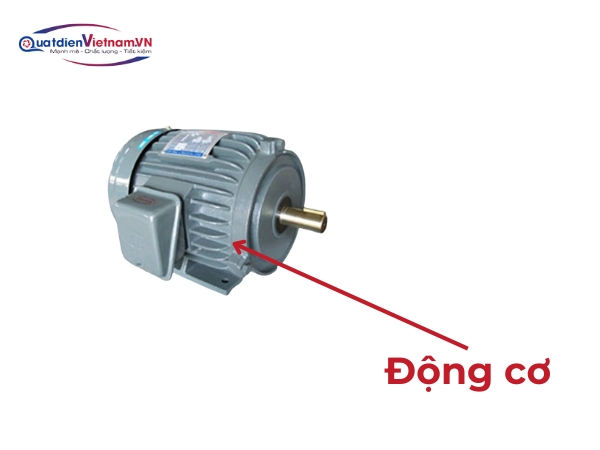 dong-co-hoat-dong-ben-bi-voi-dien-ap-220v-50hz Động cơ hoạt động bền bỉ với điện áp 220V 50Hz