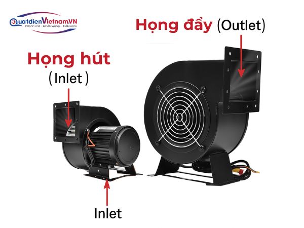 hong-hut-va-day-cong-ket-noi-doi-luan-chuyen-khi-hieu-qua Họng hút và đẩy: Cổng kết nối đôi, luân chuyển khí hiệu quả
