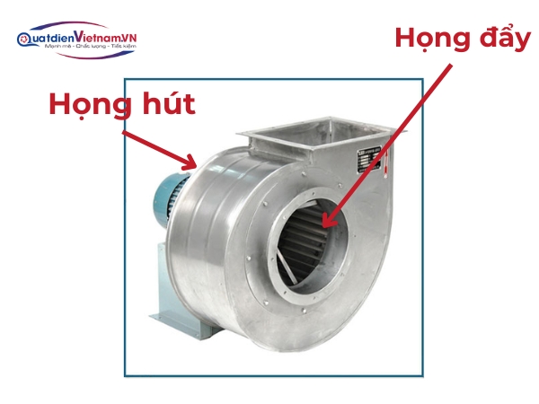 hong-hut-va-day-ket-noi-ong-dan-khi Họng hút và họng đẩy kết nối ống dẫn khí