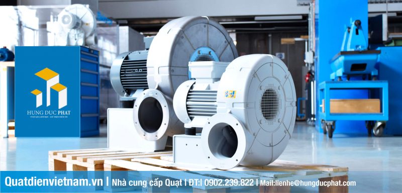 quat-thoi-con-so-2-800x384-1 quat thoi con so