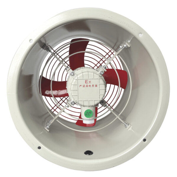 Quạt Phòng Nổ CBF-250 - Hình ảnh 3