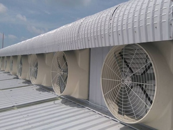 Hệ thống làm mát là thiết bị cần thiết trong mọi khu công nghiệp, nhà xưởng