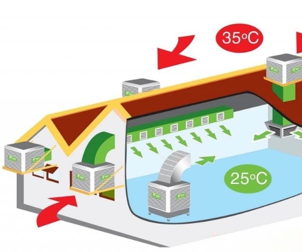 Hệ thống làm mát nhà xưởng giúp đảm bảo chất lượng và hiệu quả công việc