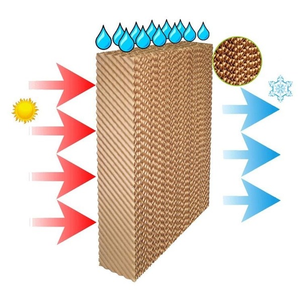 Hệ thống cooling pad làm mát cho nhà xưởng