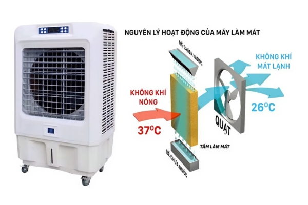  Máy làm mát không khí hoạt động dựa trên nguyên lý bay hơi nước tự nhiên
