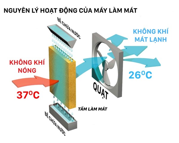 Máy làm mát giúp giảm nhiệt độ và mang lại luồng gió mát mẻ