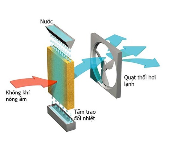 Máy làm mát không khí hoạt động trên nguyên lý bay hơi của nước