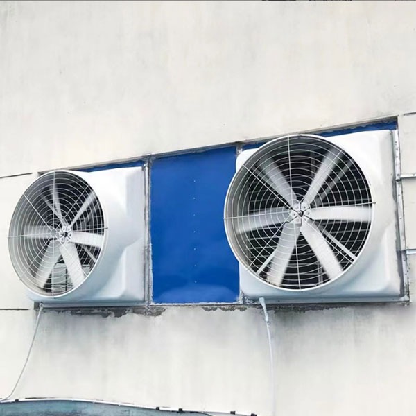 Quạt thông gió trang trại là bí quyết giúp tăng năng suất và chất lượng vật nuôi