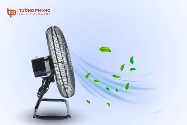 Quạt sàn công nghiệp bền bỉ, công suất mạnh, dễ bảo trì